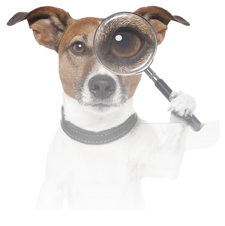 Dog with magnifying glass