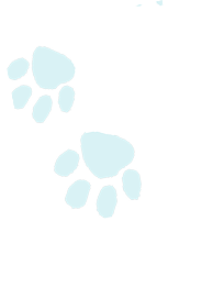 paw 